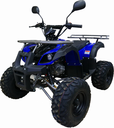 MOTAX ATV Grizlik 8 125 Бензиновый 